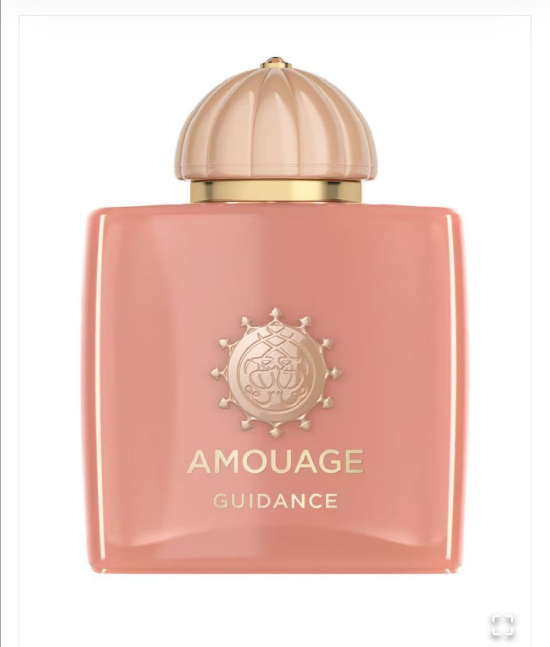 Amouage Guidance Women EDP 100ml