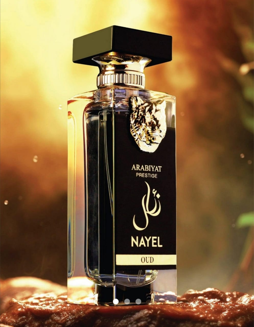 Arabiyat Prestige Nayel Oud Eau De Parfum Parfum 70ml For (Unisex)