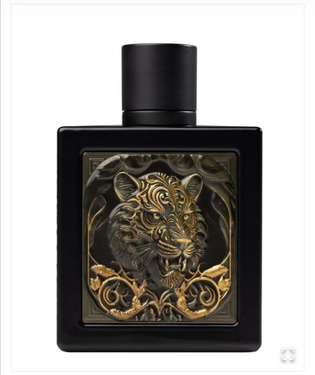 Rayhaan  Lion Eau De Parfum 100ml For Men