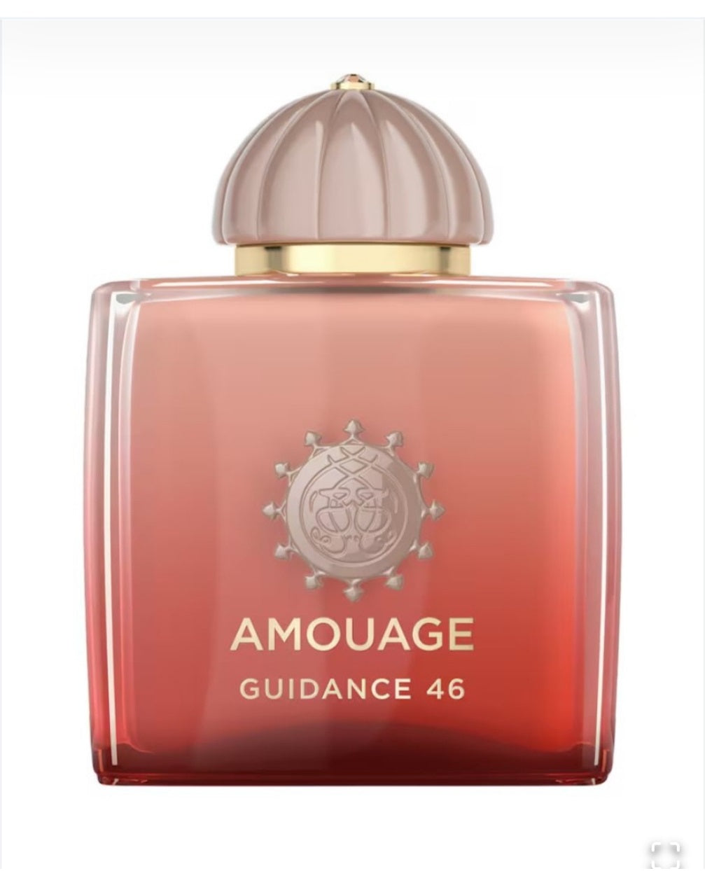 Amouage Guidance 46 Extrait De Parfum 100ml